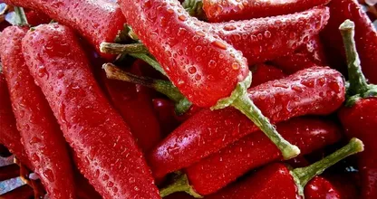 Weetje: dit is waarom je een loopneus hebt als je pittig eten eet