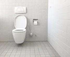 Aparentemente, é muito bom colocar um dente de alho no seu banheiro