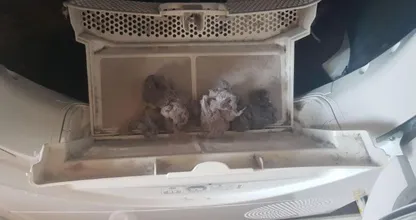 These common household habits can cause home fires!