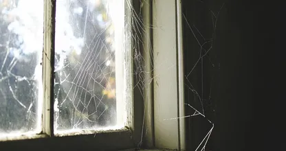 No more spiders and webs? This will help you out!