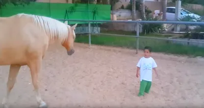 He is mentally disabled and gets dangerously close to a horse, but then something amazing happens!