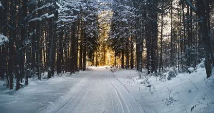 Pak je handschoenen maar uit de kast: het gaat sneeuwen dit weekend én het blijft liggen!