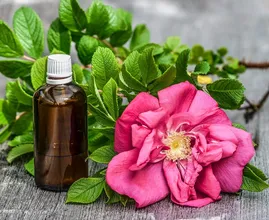 Deshalb gehört ein Fläschchen Rosenwasser in jede Schönheitspflege!