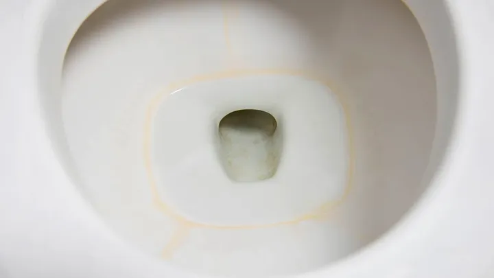 Waarom bleek niet helpt tegen de bruine rand in je toilet, en wat wél werkt