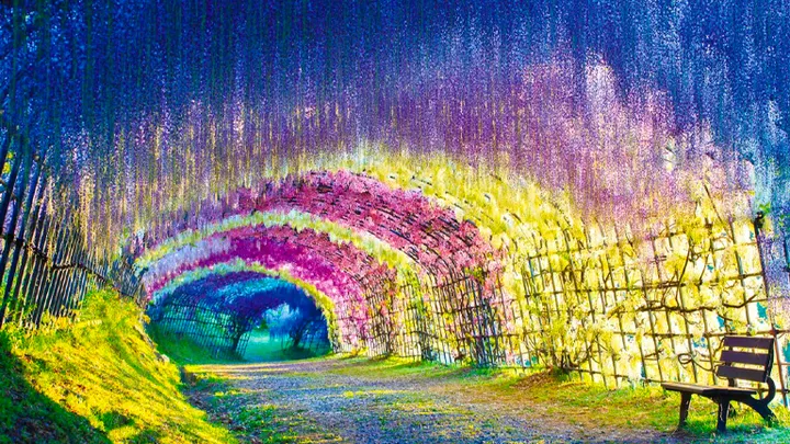 20 Unglaubliche Reiseziele rund um die Welt