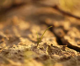 Watertekort vanwege droogte: crisisteam maakt verdeelplan