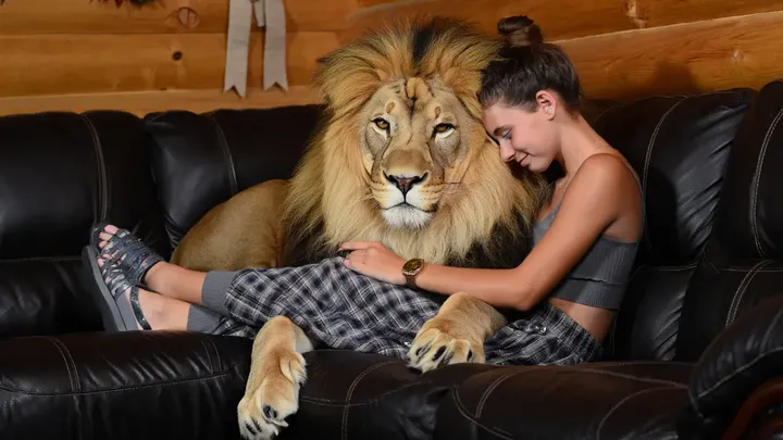 This 21 Year Old Girl Lives Together With a Pet Lion