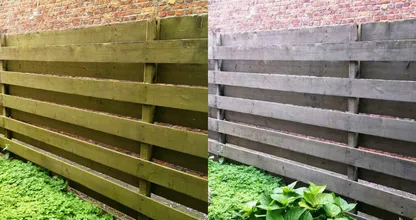 Groene aanslag op je schutting? Met deze huishoudelijke middeltjes verwijder je het zó!