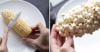 Kaum zu glauben, aber wahr: Popcorn am Maiskolben!