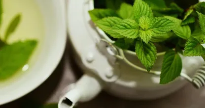 Zet deze plant in de keuken als je last hebt van fruitvliegjes