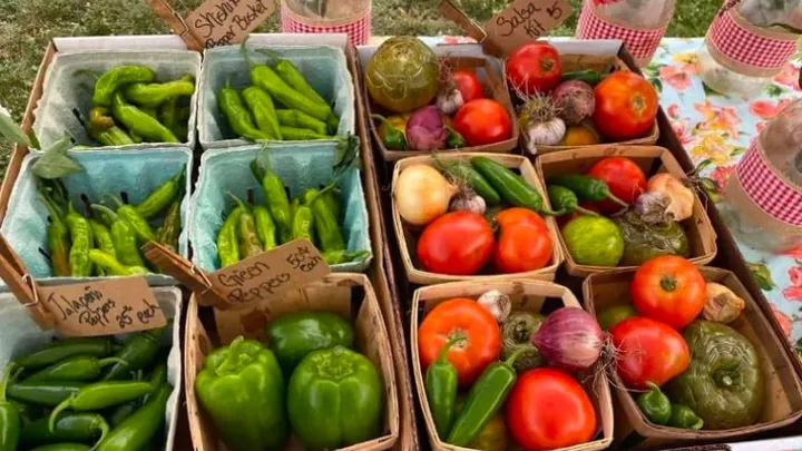 Die besten Tipps zum Geldsparen im Lebensmittelgeschäft