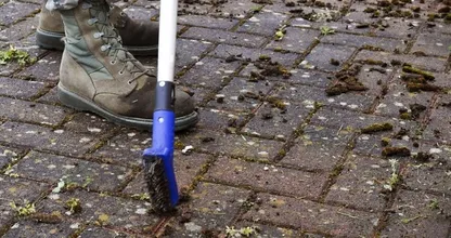 Onkruid tussen de tegels? Met deze tip ben je er zo vanaf