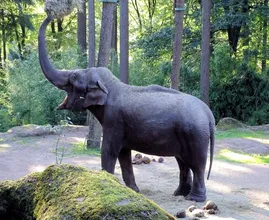 Dat is schrikken: staat er ineens een olifant in je tuin in Ommen