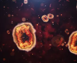 Apenpokkenvirus krijgt een nieuwe naam, heet voortaan mpox
