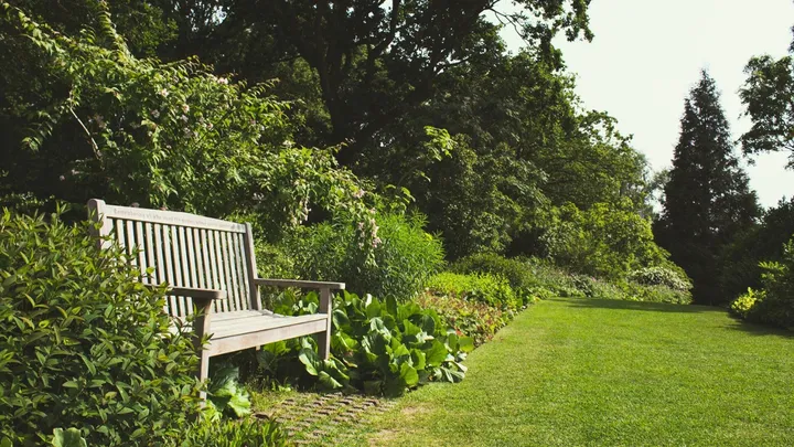 Met deze trucjes blijft je tuin in leven terwijl jij op vakantie bent