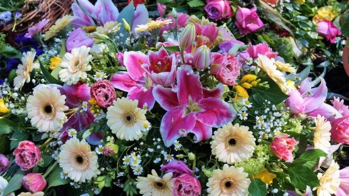 THIS is what your favourite flower says about your personality!