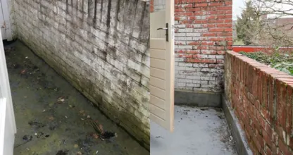 Haben Sie grüne Flecken auf Ihren Balkon- oder Gartenfliesen? Entfernen Sie sie mit dieser rein natürlichen Lösung