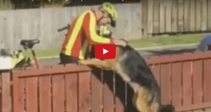 VIDEO: baasje betrapt postbode die iedere dag zijn hond knuffelt en hij filmt het!