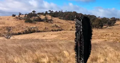 A Mysterious Large Object From Outer Space Crashed On A Sheep Farm In Australia 