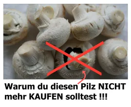 Du kaufst Pilze die SO aussehen? Das solltest du besser NICHT tun!