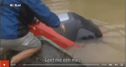 "Mijn God, ik ben aan het verdrinken" schreeuwt deze Amerikaanse vrouw tegen haar redders in nood. Viral video!