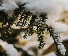 Krijgen we eindelijk dit jaar een witte kerst? Dit zegt een weerman
