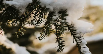 Krijgen we eindelijk dit jaar een witte kerst? Dit zegt een weerman