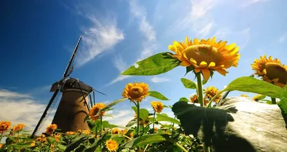 Eindelijk, begint de zomer dan toch echt? Bekijk dit weerbericht eens!
