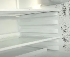 Schimmel im Kühlschrank? Mit diesem schnellen Trick bist du ihn sofort los.