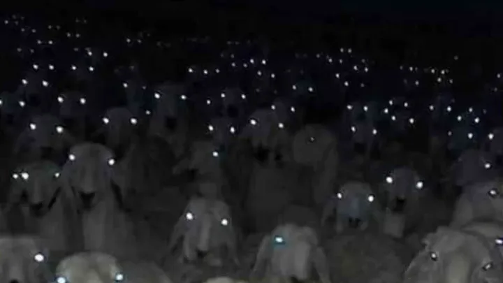 Brividi e emozioni: Foto incredibili da vedere due volte!