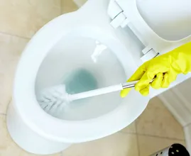 Warnung: Machst du dein WC mit Scheuermittel oder Chlor sauber? Dann lies das mal...