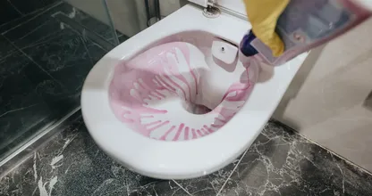 866 calls to the Dutch poison centres in one year: the toilet-cleaning habit a chemical engineer wants people to drop