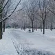 Experts voorspellen: dit weer kunnen we deze winter verwachten