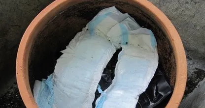 Dol op planten maar geen tijd om ze te verzorgen? Volg dan deze tip!