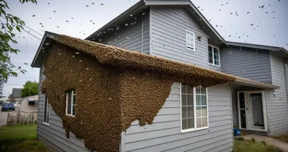 Young Woman Bought Her Dream House—Then Heard the Buzzing in the Walls