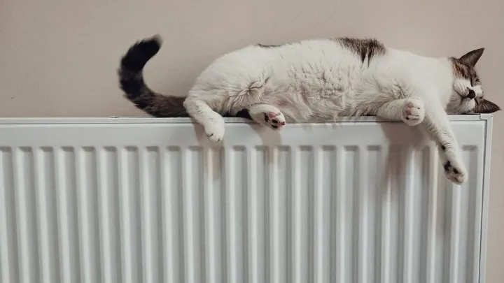 Lifehack: met deze truc krijg jij je radiator écht goed schoon