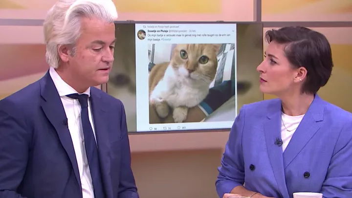 Geert Wilders richt stichting 'Snoetje en Pluisje' op om déze reden