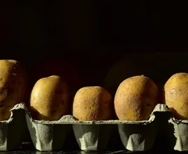 Wenn man Kartoffeln so lagert, fangen sie nicht an zu keimen!