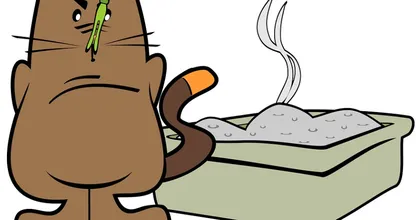 Mit diesem gigantischen Trick brauchst du nie wieder ein Katzenklo saubermachen! Sowas von praktisch!