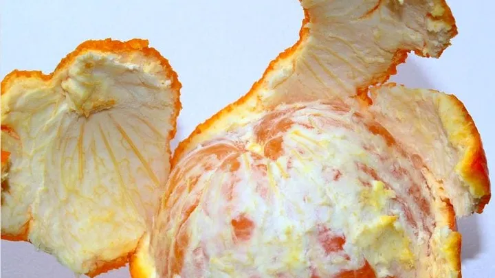 Got some orange peel left over? Don't throw it out because this is what you can do with it!