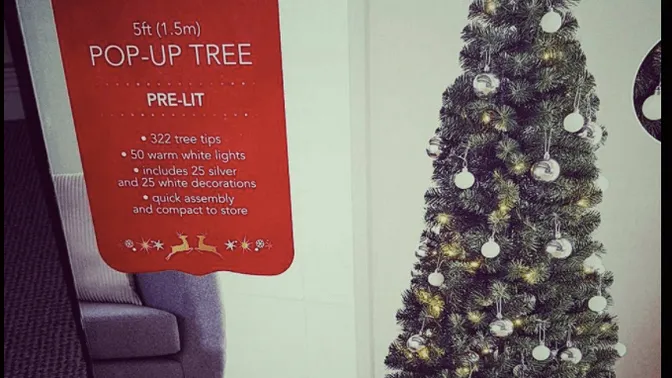 Oeps... Deze vrouw kocht een kant-en-klare kerstboom, maar was is niet helemaal wat ze ervan verwachtte!