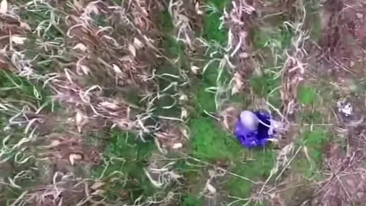 Momentos inapropiados captados por la cámara de un dron