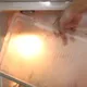 Er klebt Frischhaltefolie auf die Platten im Kühlschrank. Der Grund ist absolut genial!