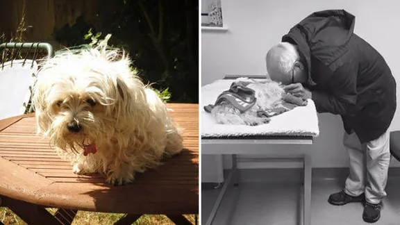 De hond van deze 74-jarige man wordt doodgebeten en DIT is hoe zijn dochter reageert.. wat vind jij hiervan?