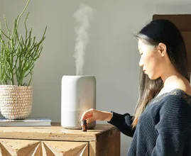 Você realmente precisa de um umidificador em sua casa?