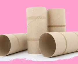 Got empty toilet paper rolls lying around? Apparently, you can make money off of them