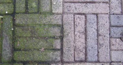Retirer les taches vertes sur les carreaux de votre terrasse ? Avec cette astuce, c’est très simple ! Vous devez vraiment essayer ça !