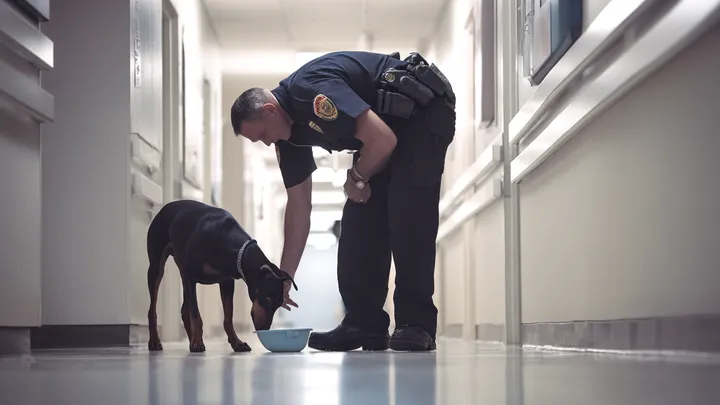 Policial encontra uma menina e seu cachorro dormindo no meio do lixo - a verdade partiu seu coração!