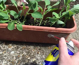 Have you ever seen this blue spray can called WD-40? This stuff is made of miracles!