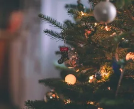 Niezen, snotteren en rode ogen? Deze tekenen kunnen wijzen op een kerstboomallergie